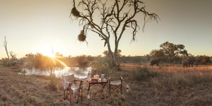 kings camp timbavati coffee waterhole