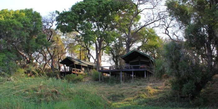 mutemwa lodge zambezi tents