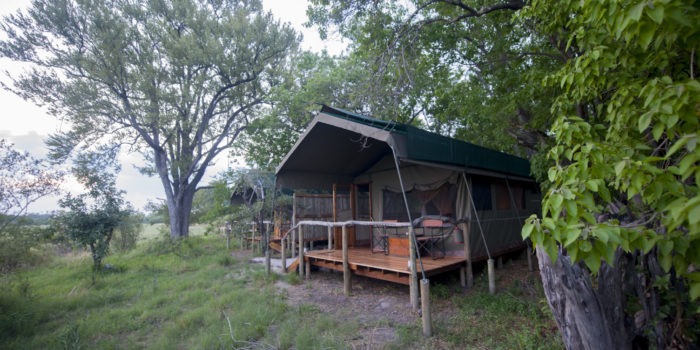 sango safari camp khwai tent day