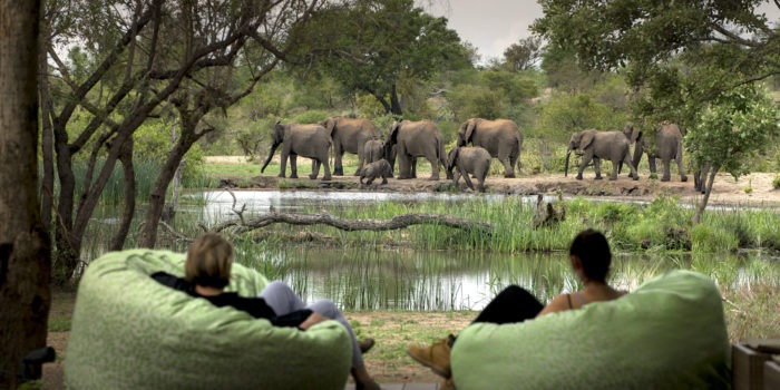 tanda tula waterhole