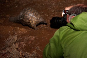Greater kruger national park klaserie photography safari