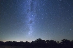 Greater kruger national park stars