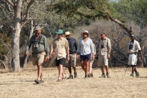 camp zambezi mana pools group walking