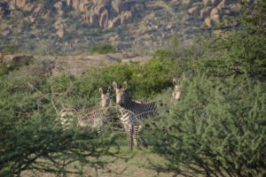 Namibia Damaraland Ai Aiba Rock Painting Lodge48