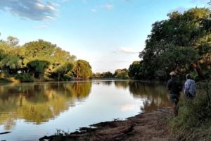 south africa kruger national park makuleke shangani walking safaris 10