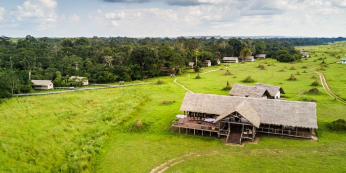 republic of congo odzala mboko camp10