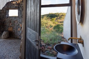 botswana northern tuli mashatu game reserve euphorbia mashatu villas10