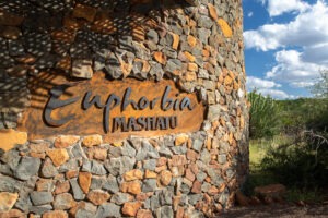 botswana northern tuli mashatu game reserve euphorbia mashatu villas16