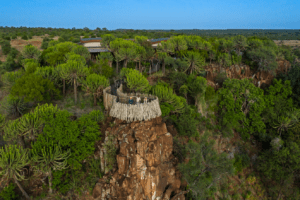 botswana northern tuli mashatu game reserve euphorbia mashatu villas17