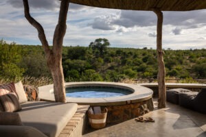 botswana northern tuli mashatu game reserve euphorbia mashatu villas23