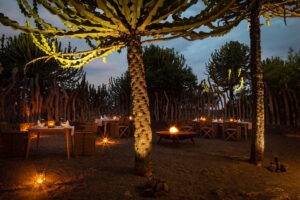 botswana northern tuli mashatu game reserve euphorbia mashatu villas5